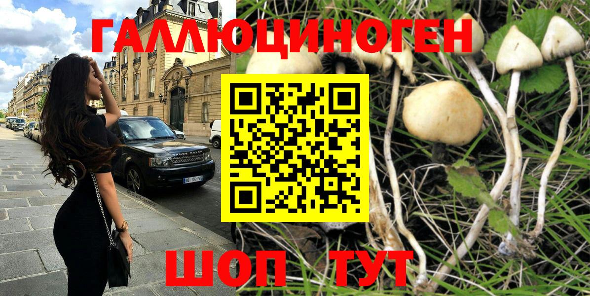 Галлюциногенные грибы мицелий  Вход с VPN  Кизляр 